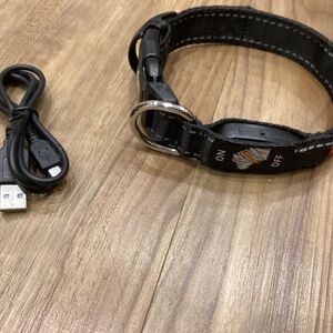 Night Light LED Collar by 4 Paws Tech size XS Red/Red Raspberry